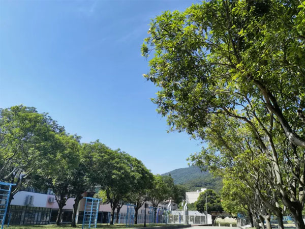 学校环境