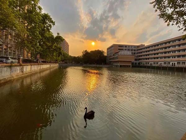 学校环境